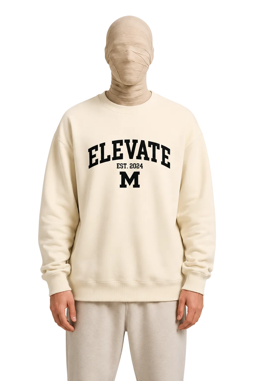 Elevate Varsity Sweatshirt — Collegiate Print